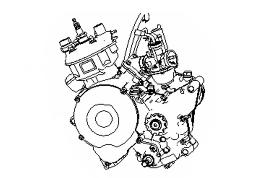 STELS TRIGGER 50 X(SM) (двигатель)